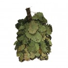 Веник дубовый Веник дубовый