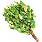 Веник Берёза Веник Берёза