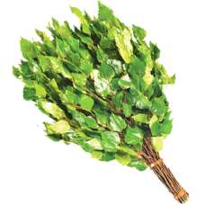 Веник Берёза